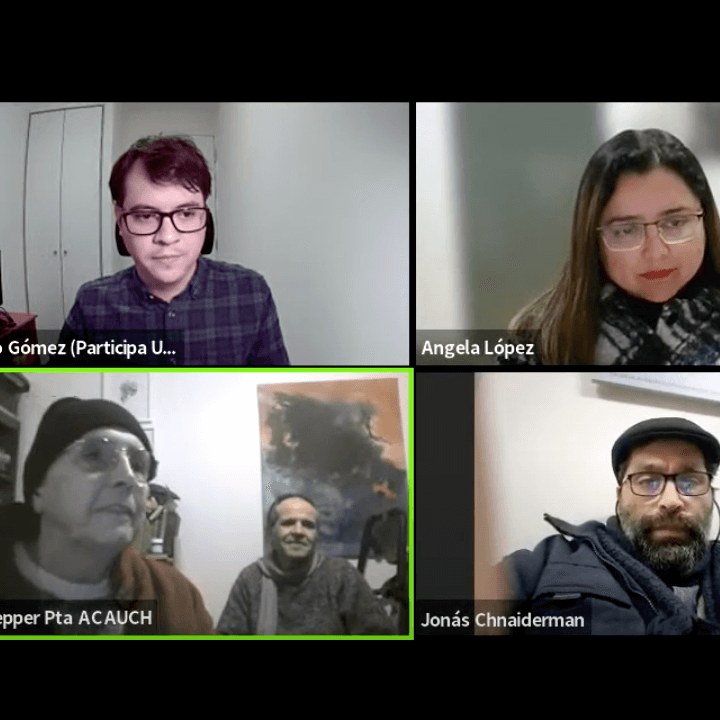 Participa UChile realiza exitosas jornadas electorales para la Asociación de Académicas y Académicos de la Universidad de Chile (ACAUCh)